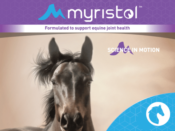 Horse Joint Health Supplements - Myristol Equine
